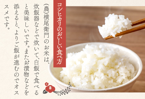 A-1137 【使い切りサイズ】横尾衛門のコシヒカリ 白米2合(300ｇ)×6袋【新米 米 お米 白米 精米 ブランド米 コシヒカリ こしひかり 小分け 使い切り おにぎり お弁当】