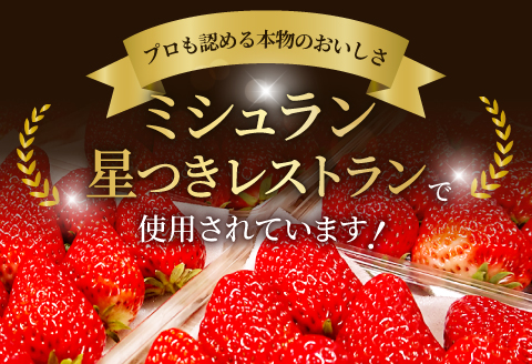 A-696 【初物！農家直送】美都いちご（350g×2パック）