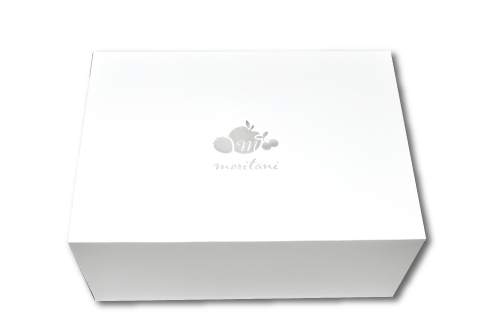 A-1151 糖度14度以上のアムスメロン　高級赤秀品　2玉【メロン 先行予約 糖度14度以上 アムスメロン 高級 赤秀品 高糖度 2玉 4L 早期予約 季節限定 期間限定 果物 フルーツ お土産 プレゼント 贈り物 ギフト 贈答】