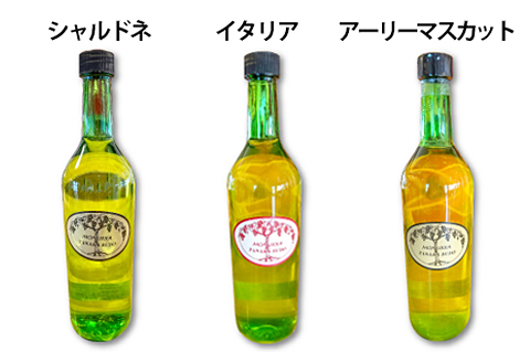 B-854 森の記憶を呼び覚ます「ヤマソービニヨン」 と 「こだわり白ワイン（おまかせ）」【赤ワイン ヤマソービニヨン 720ml 9.0% 1本 おまかせ 白ワイン 720ml 1本 合計2本 お酒 ワイン ドメーヌワイン 赤 白 アルバリーニョ ハニービーナス デラウェア シャルドネ イタリア アーリーマスカット 果物 山ぶどう ブドウ 葡萄 自園自醸 ディナー 贈答 ギフト】