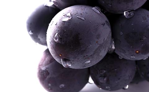 A-1159 【先行予約】朝採れ種なしぶどう 巨峰 1kg【巨峰 種なし 先行予約 ぶどう きょほう ブドウ 1.0kg たねなし 朝採れ 冷蔵 果物 くだもの フルーツ 期間限定 季節限定 早期予約 8月発送】