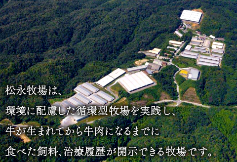 A-405 松永和牛 切り落とし 300g【牛肉 切り落とし 和牛 黒毛和牛 切落し 300g 肉 松永和牛 まつなが牛 冷凍】