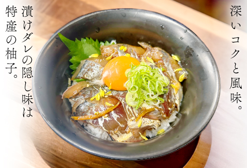 A-1184  山陰ぶち旨グルメ　境港サーモン漬け丼の素・山陰アジ漬け丼の素（4食入り）