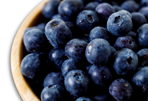 A-1220 朝採れブルーベリー【ブルーベリー ぶるーべりー 1kg 朝採れ 生食 冷蔵 果物 くだもの フルーツ 産地直送 期間限定 季節限定 早期予約】