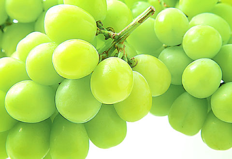 A-1274 皮ごと食べられる種なしぶどう シャインマスカット 1房【先行予約 ぶどう シャインマスカット 1房 葡萄 ブドウ しゃいんますかっと マスカット 種なし たねなし 冷蔵 期間限定 季節限定 くだもの 果物 フルーツ】