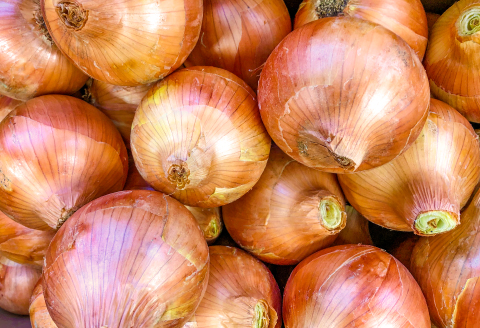 A-325 益田市特産『手磨き玉ねぎ』【先行予約 期間限定 季節限定 早期予約 野菜 やさい たまねぎ タマネギ 玉葱 10kg 数量限定】