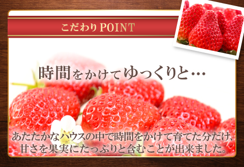 A-509 厳選プレミアム いちご（350g×2パック）