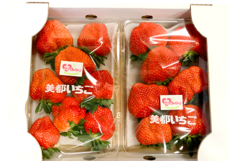 A-536 美都いちご（350g×2パック）