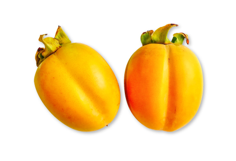 A-633 特選大玉西条柿12玉