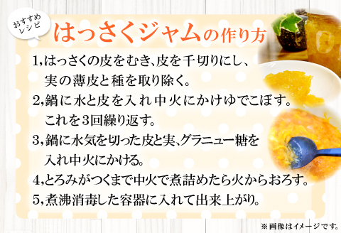 A-859 有機肥料使用「こだわりの八朔」