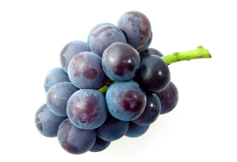 B-1000 朝採れ種なしぶどう ピオーネ 2kg【先行予約 ぶどう ピオーネ ぴおーね 2キロ 種無し たねなし 朝採れ 冷蔵 期間限定 季節限定 8月～10月上旬発送】