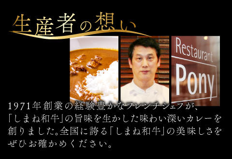 B-1202 Restaurant Pony 和田シェフが創る「しまね和牛」牛すじ入りデリシャスカレー 8袋【和牛 牛すじ ビーフカレー 欧風カレー 温めるだけ 簡単 時短 冷凍食品 惣菜 お取り寄せ グルメ】