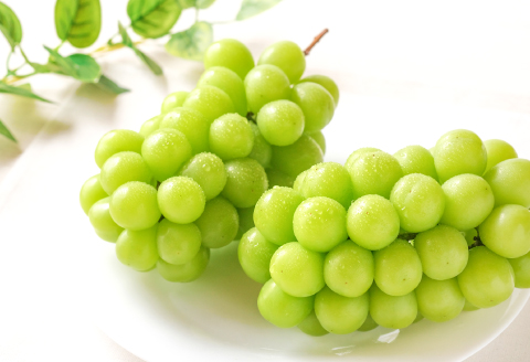 C-1180 冬季シャインマスカット 2kg