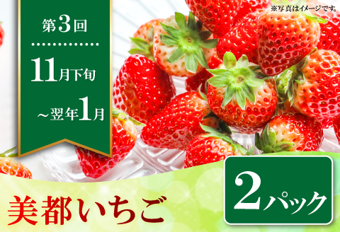 C-861 【先行予約】益田自慢のくだもの定期便(3回コース)【先行予約 期間限定 季節限定 定期便 定期 3回 果物 フルーツ ぶどう マスカット シャインマスカット しゃいんますかっと 2房 種なし たねなし 皮ごと メロン めろん アールスメロン マスクメロン 2玉 いちご イチゴ 2パック 冷蔵】