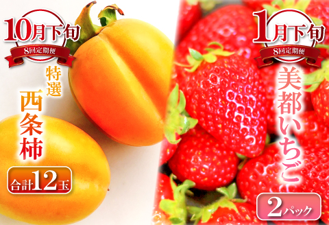 E-635 【定期便】益田市四季の旬果定期便 8種【フルーツ 定期便 果物 くだもの 先行予約 期間限定 数量限定 季節限定 早期予約 デラウェア 葡萄 ぶどう ブドウ アムスメロン アールスメロン 巨峰 シャインマスカット 梨 なし 西条柿 いちご 苺 イチゴ】