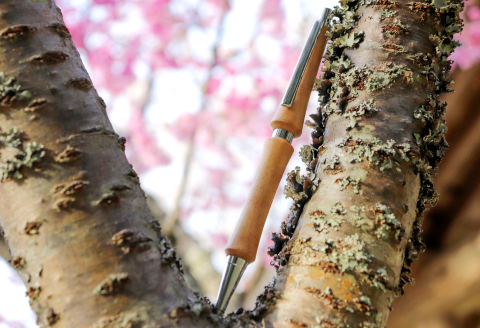 C-1165 ハンドメイドシャープペンシル（ノック式）桜 1本