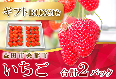 A-27 【先行予約】美都いちご（ギフトBOX）【いちご 2月発送 完熟 果物 くだもの フルーツ 苺 イチゴ ストロベリー 美都いちご 平2パック 大粒 ギフト ギフトボックス入り 冷蔵 先行予約 期間限定 季節限定 早期予約】