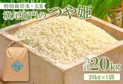 B-1093 横尾衛門のつや姫 玄米 20kg【新米 先行予約 米 お米 玄米 特別栽培米 低農薬 低化学肥料 ブランド米 つや姫 20kg 1袋】