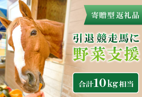 A-571 【思いやり型返礼品】引退競走馬に野菜支援【支援 野菜 果物 フルーツ 10kg相当 馬の好物 人参 バナナ さつまいも りんご 思いやり型返礼品 寄贈型 あしなが型 馬 引退競走馬 セカンドキャリア ホースセラピー 乗用馬 サラブレッド ディープインパクト産駒 マンハッタンカフェ産駒 ハービンジャー産駒 シビルウォー産駒