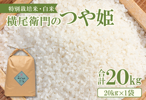 B-1090 横尾衛門のつや姫 白米 20kg【新米 お米 白米 精米 特別栽培米 低農薬 低化学肥料 ブランド米 つや姫 20kg 1袋】