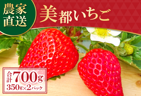 A-696 【初物！農家直送】美都いちご（350g×2パック）