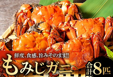 A-801 もみじガニ（CAS冷凍）8匹