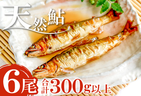 A-258 高津川天然鮎『CAS冷凍』3尾/袋×2（300g）【天然鮎 3尾/袋×2 合計6尾 300g以上 魚貝類 魚介類 魚 川魚 あゆ アユ CAS冷凍 高鮮度 塩焼き みそ焼き 天ぷら 鮎飯 甘露煮 冷凍 期間限定 季節限定 6月15日以降発送】