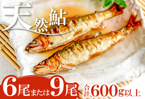 B-259高津川天然鮎『CAS冷凍』600g（200g/袋×3）【天然鮎 200g/袋×3 合計9尾または6尾 600g以上 魚貝類 魚介類 魚 川魚 あゆ アユ CAS冷凍 高鮮度 塩焼き みそ焼き 天ぷら 鮎飯 甘露煮 冷凍 期間限定 季節限定 6月15日以降発送】