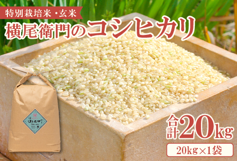 B-1092 横尾衛門のコシヒカリ 玄米 20kg【新米 米 お米 玄米 特別栽培米 低農薬 低化学肥料 ブランド米 コシヒカリ 20kg 1袋】