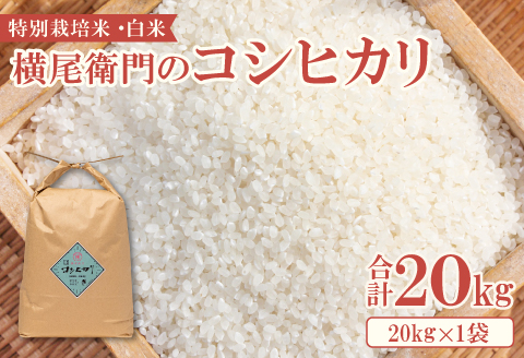 B-1089 横尾衛門のコシヒカリ 白米 20kg【新米 米 お米 白米 精米 特別栽培米 低農薬 低化学肥料 ブランド米 コシヒカリ 20kg 1袋】