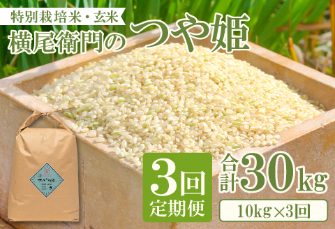 C-1105 【定期便】横尾衛門のつや姫 玄米 10kg×3回コース【新米 定期便 定期 3回 米 お米 玄米 特別栽培米 低農薬 低化学肥料 ブランド米 つや姫 10kg×3回 合計30kg】