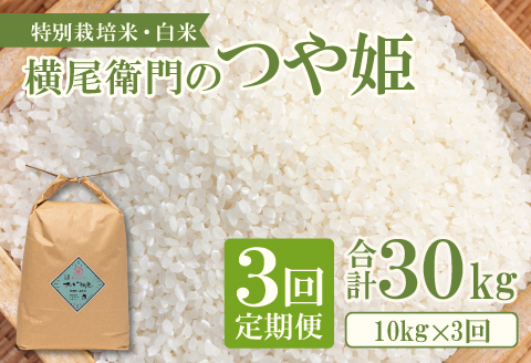 C-1102 【定期便】横尾衛門のつや姫 白米 10kg×3回コース【新米 定期便 定期 3回 米 お米 白米 精米 特別栽培米 低農薬 低化学肥料 ブランド米 つや姫 10kg×3回 合計30kg】