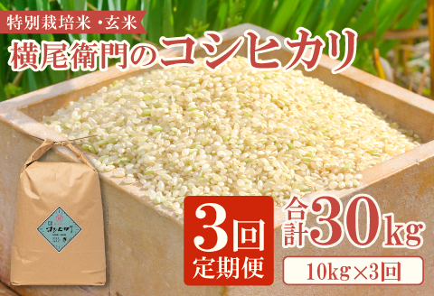 C-1104 【定期便】横尾衛門のコシヒカリ 玄米 10kg×3回コース【新米 定期便 定期 3回 米 お米 玄米 特別栽培米 低農薬 低化学肥料 ブランド米 コシヒカリ 10kg×3回 合計30kg】