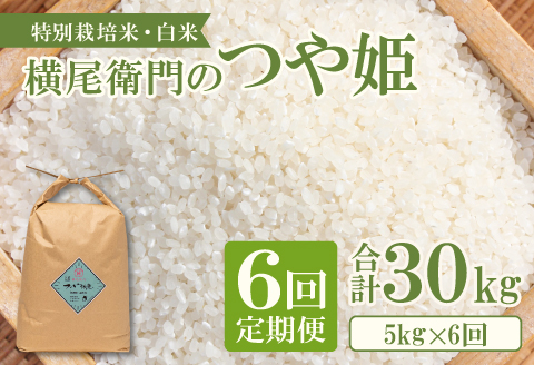C-1108 【定期便】横尾衛門のつや姫 白米 5kg×6回コース【新米 定期便 定期 6回 米 お米 白米 精米 特別栽培米 低農薬 低化学肥料 ブランド米 つや姫 5kg×6回 合計30kg】
