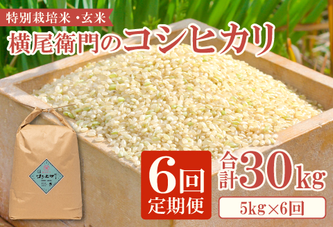 C-1110 【定期便】横尾衛門のコシヒカリ 玄米 5kg×6回コース【新米 定期便 定期 6回 米 お米 玄米 特別栽培米 低農薬 低化学肥料 ブランド米 コシヒカリ 5kg×6回 合計30kg】