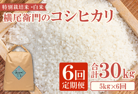 C-1107 【定期便】横尾衛門のコシヒカリ 白米 5kg×6回コース【新米 定期便 定期 6回 米 お米 白米 精米 特別栽培米 低農薬 低化学肥料 ブランド米 コシヒカリ 5kg×6回 合計30kg】