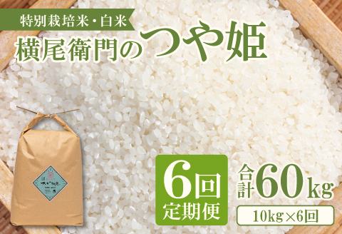D-1114 【定期便】横尾衛門のつや姫 白米 10kg×6回コース【新米 定期便 定期 6回 米 お米 白米 精米 特別栽培米 低農薬 低化学肥料 ブランド米 つや姫 10kg×6回 合計60kg】