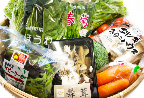 C-537 今が旬！新鮮野菜セット（3回コース）【定期便 定期 3回 野菜 12品以上 季節の野菜 旬 新鮮 おまかせ お楽しみ 詰め合わせ セット 冷蔵】