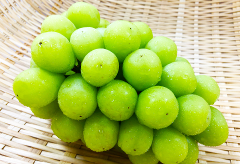 C-699 【先行予約】待ちきれない シャインマスカット 2房【シャインマスカット 先行予約 大粒 しゃいんますかっと マスカット ぶどう 2房 種無し たねなし 皮ごと 期間限定 季節限定】