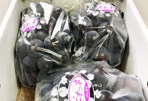 B-700 【先行予約】黒い宝石「種なしピオーネ」2kg【ピオーネ 2kg ぶどう ぴおーね 3房～5房 2.0kg 2キロ 種無し たねなし 大粒 期間限定 季節限定】