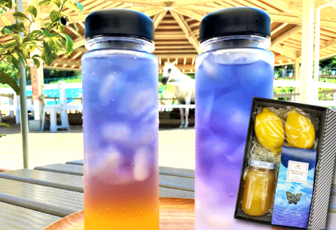 A-704 さんさん牧場の『バタフライピーティ―詰め合わせ』（引退競走馬の飼育寄付つき）【バタフライピーティー お茶 蜂蜜 はちみつ レモン セット 詰め合わせ 引退競走馬 馬 さんさん牧場 飼育寄附】