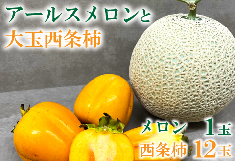 B-643 糖度14度以上のアールスメロン秀品1玉と大玉西条柿12玉のセット