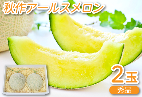B-14 アールスメロン　秀品　2玉【秋作】
