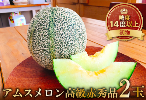 B-625 初物 糖度14度以上のアムスメロン 高級赤秀品 2玉【先行予約 メロン めろん 果物 くだもの フルーツ アムスメロン 糖度14度以上 高級 赤秀品 期間限定 季節限定 早期予約】
