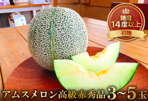 C-410 初物 糖度14度以上 アムスメロン 高級赤秀品 1ケース（3～5玉）【メロン 先行予約 果物 くだもの フルーツ アムスメロン めろん 糖度14度以上 高級 赤秀品 期間限定 季節限定 早期予約】