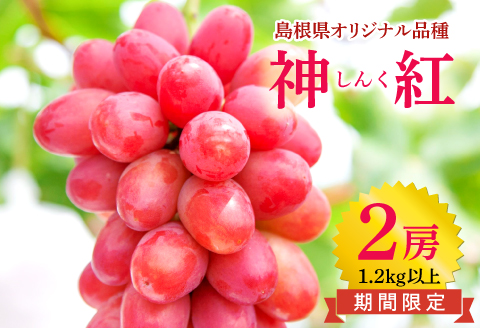 D-857 しんく！シンク！神紅！2房入り1.2kg以上【先行予約 神紅 2房 島根県オリジナル品種 高糖度 皮ごと 種なし ぶどう ブドウ 葡萄 果物 くだもの フルーツ 数量限定 季節限定 ギフト 贈り物 贈答】