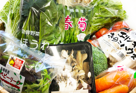 C-864 今が旬！新鮮野菜定期便(6回コース)【定期便 野菜 6回コース 詰め合わせ お楽しみ 定期 7品目～10品目 セット 旬 新鮮 冷蔵 食品 季節の野菜 おまかせ やさい】
