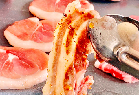 A-866 天然いのしし肉 (焼肉用厚切りスライス)【猪肉 ジビエ 焼肉用 厚切り スライス モモ バラ 2種 セット 無添加 冷凍 下処理済み 炭火焼 鉄板焼き バーベキュー アウトドア キャンプ ギフト 贈答 贈り物】