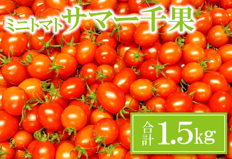 A-949 ミニトマト(サマー千果)1.5㎏