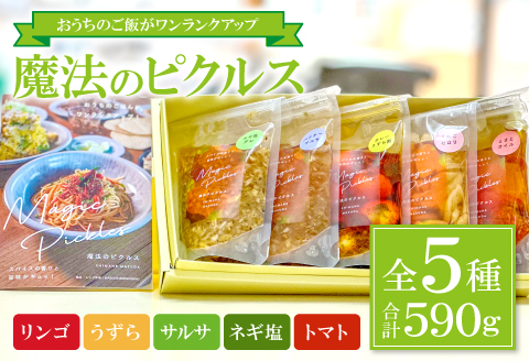 A-980 Magic Pickles　－魔法のピクルスー【ピクルス 5種 セット 詰合せ リンゴ うずら サルサ ねぎ塩 トマト 万能調味料 漬物 加工食品】
